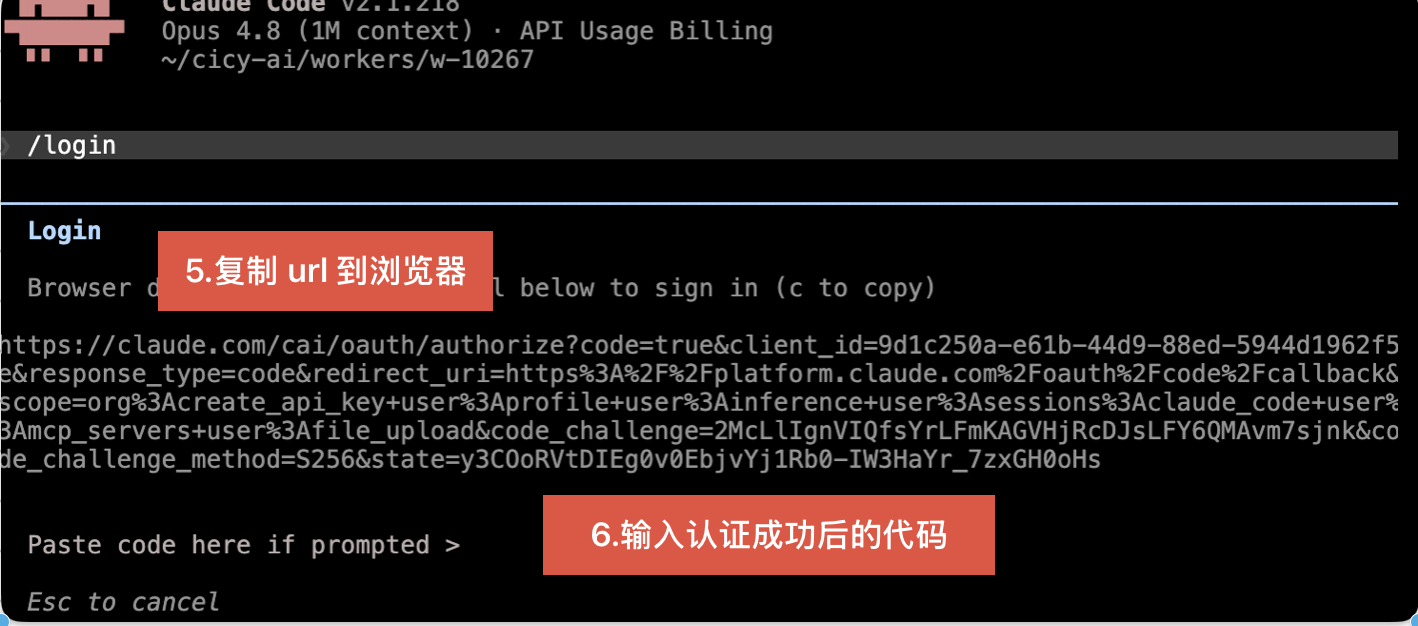 复制授权 URL 并粘贴认证代码